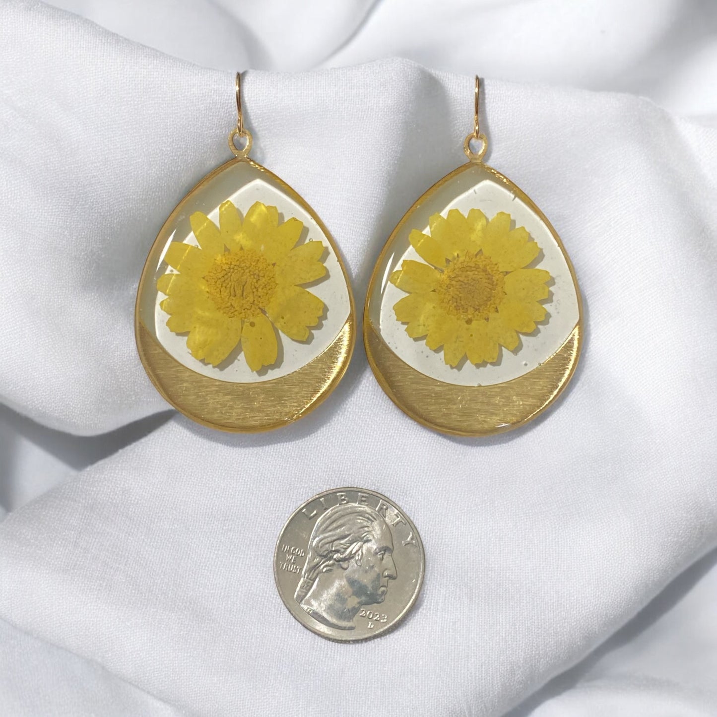Yellow Daisies