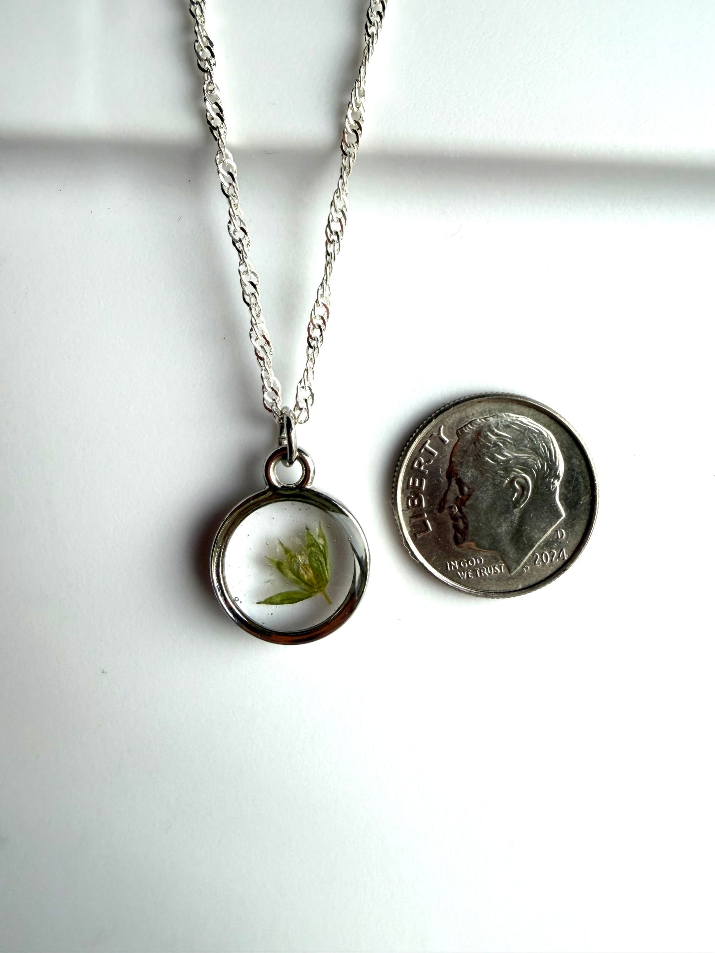 Dry Pressed Wild Flower