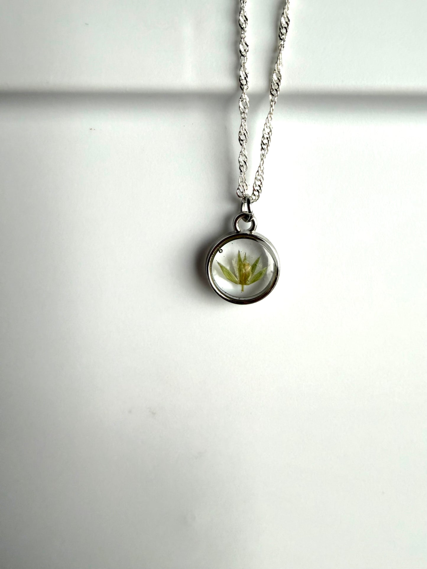 Dry Pressed Wild Flower