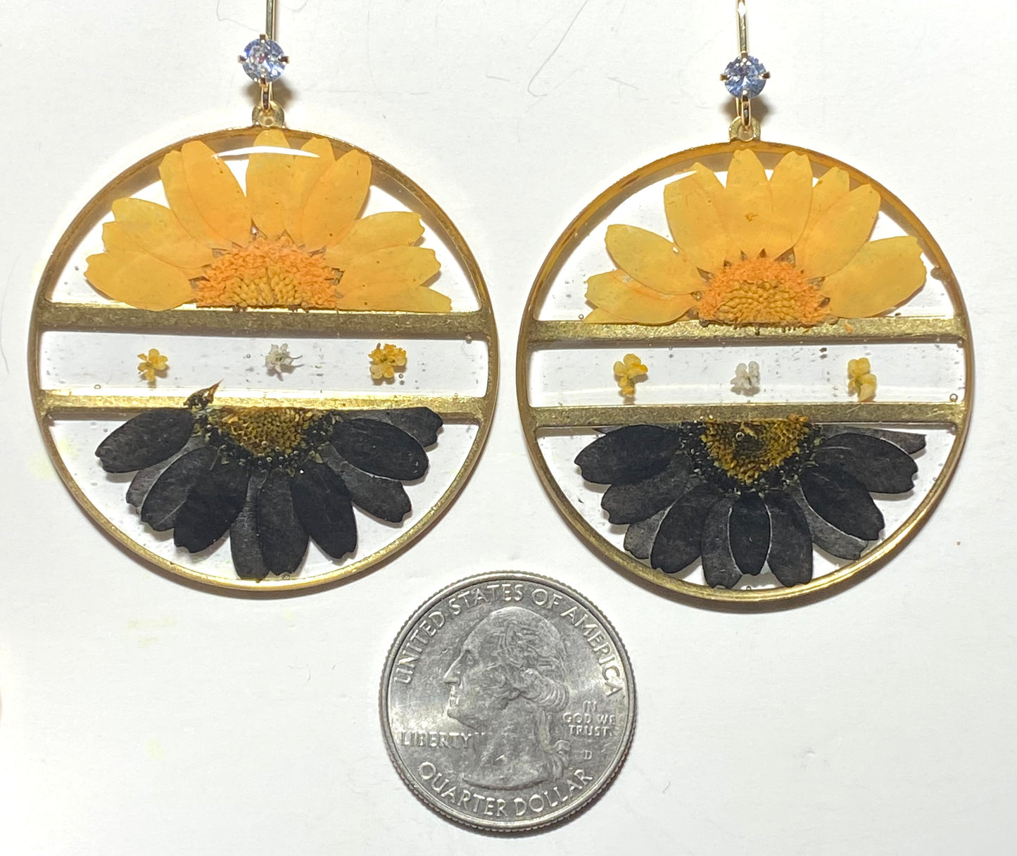 Split Black and Yellow Daisies with pieces of White and Orange Queen Anne’s Lace