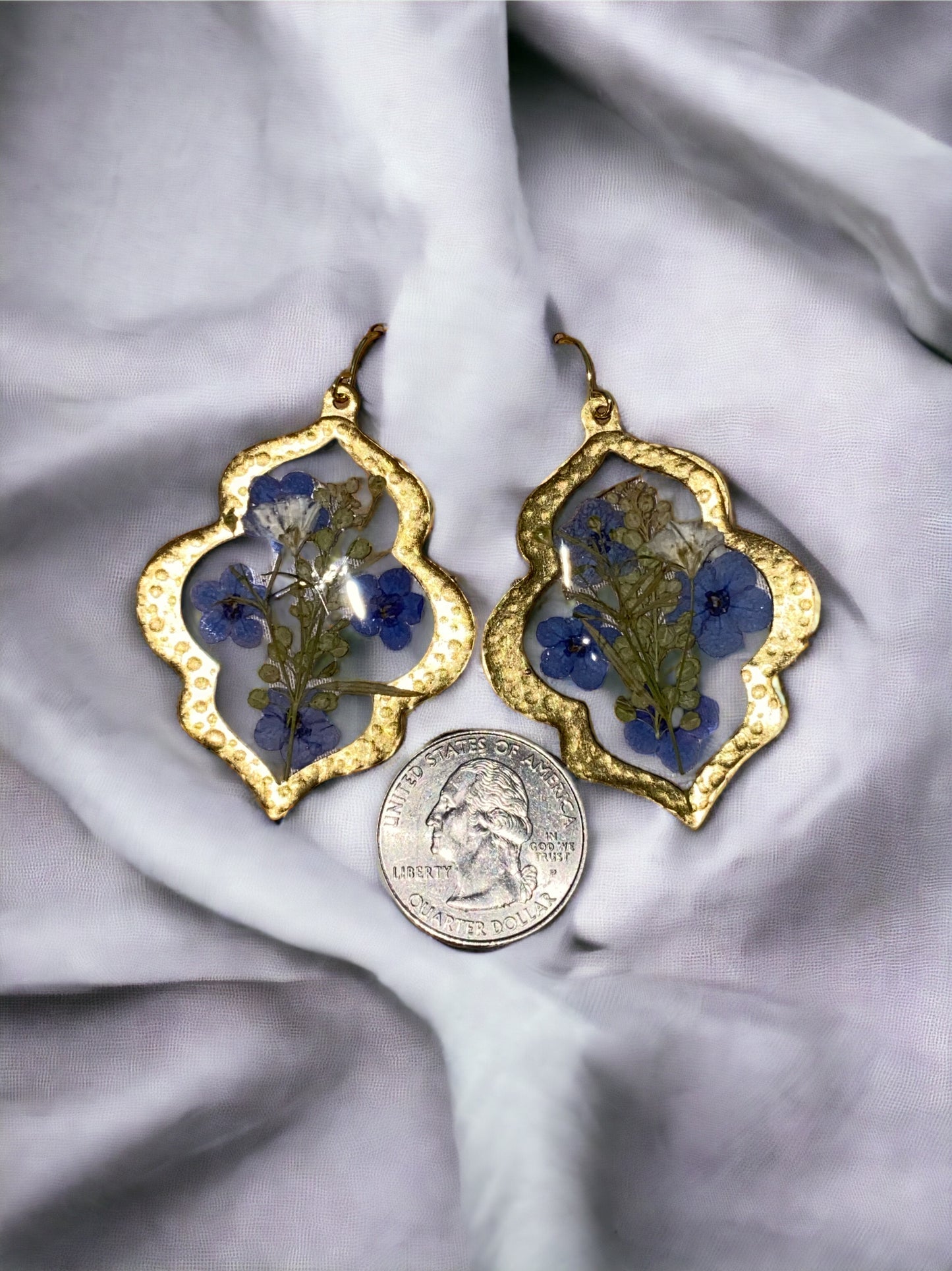 Blue Forget-Me-Not’s with Dry Pressed Leaves