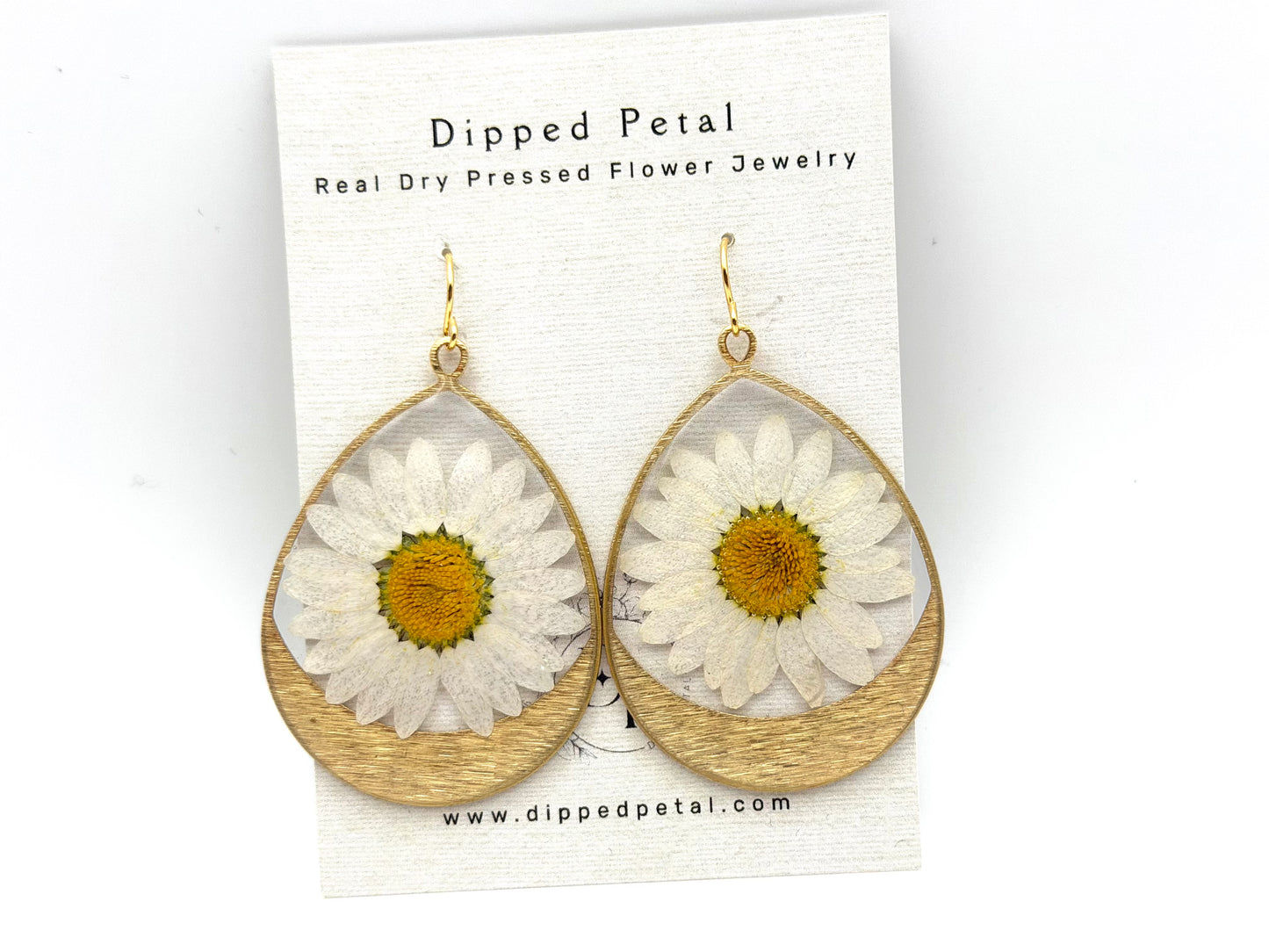 Daisies