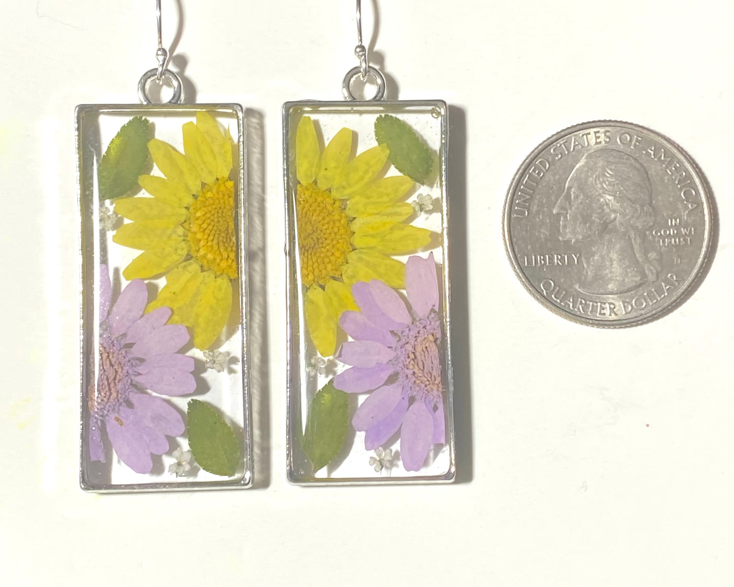 Split Yellow and Purple Daisies with Dry Pressed Leaves and Pieces of White Queen Anne’s Lace