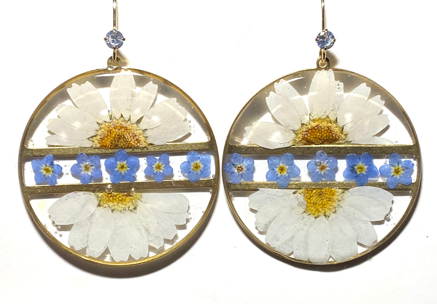 Split Daisies with Blue Forget-Me-Nots