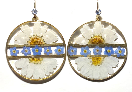 Split Daisies with Blue Forget-Me-Nots