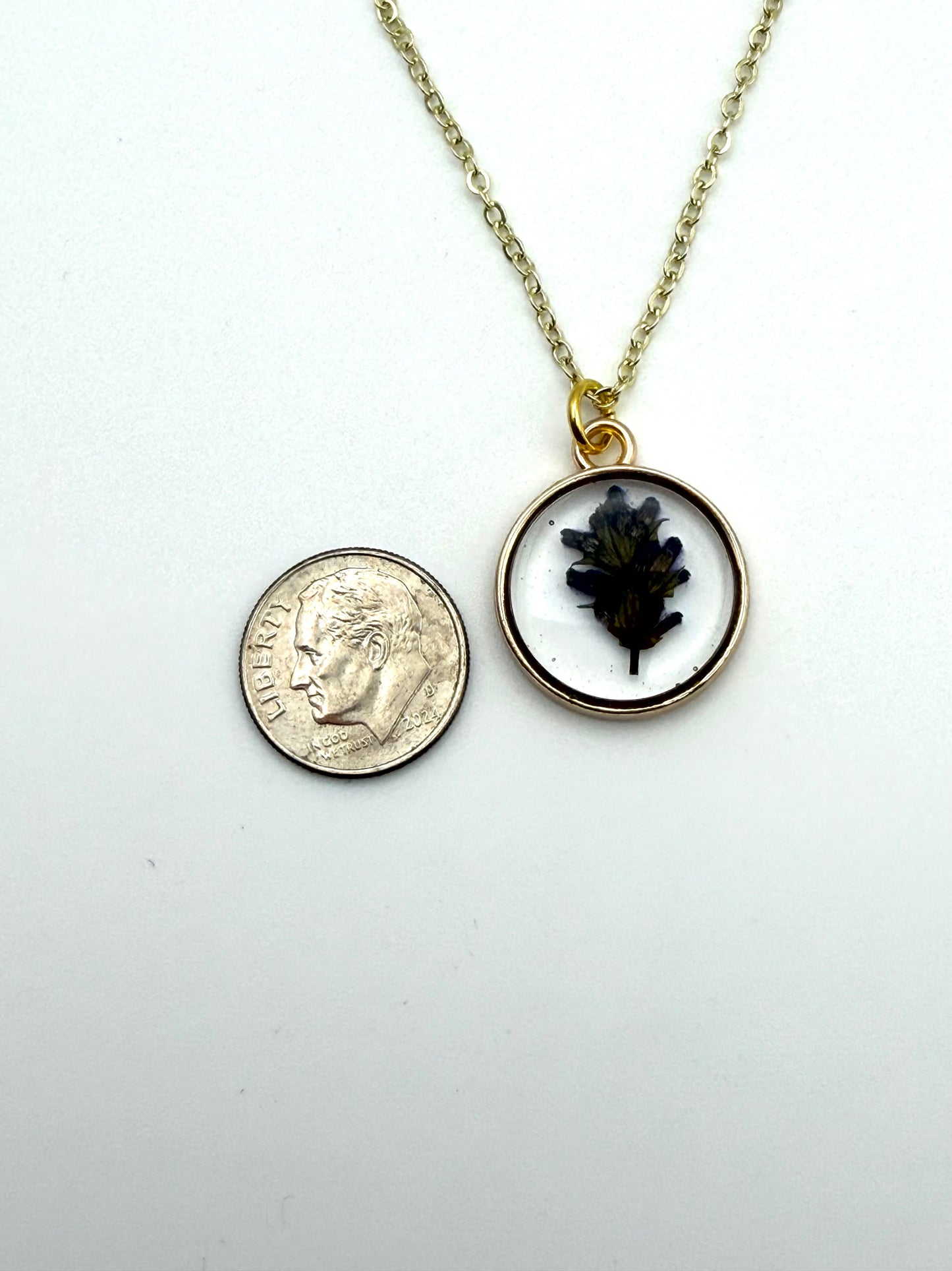 Pressed Lavender