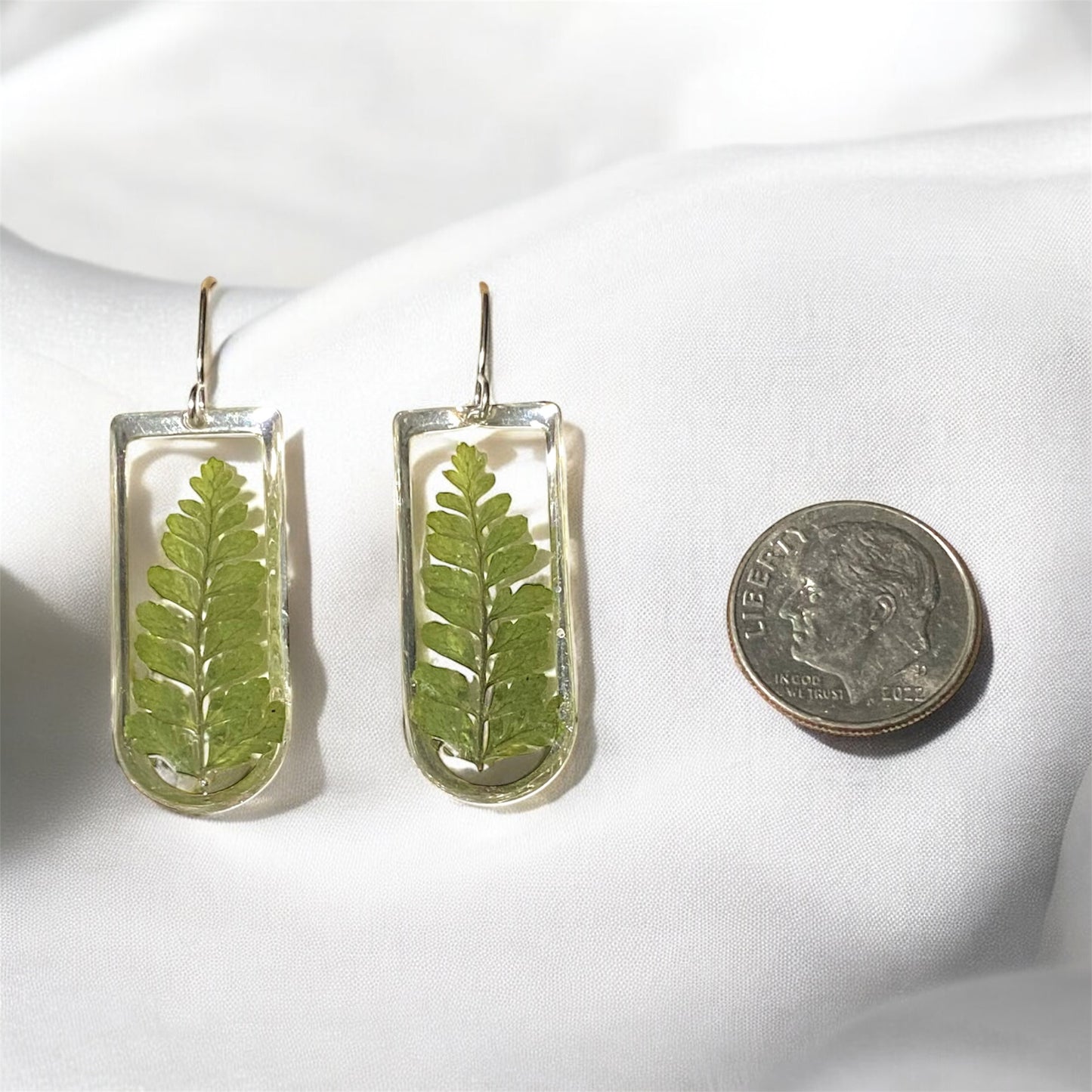 Dry Pressed Fern