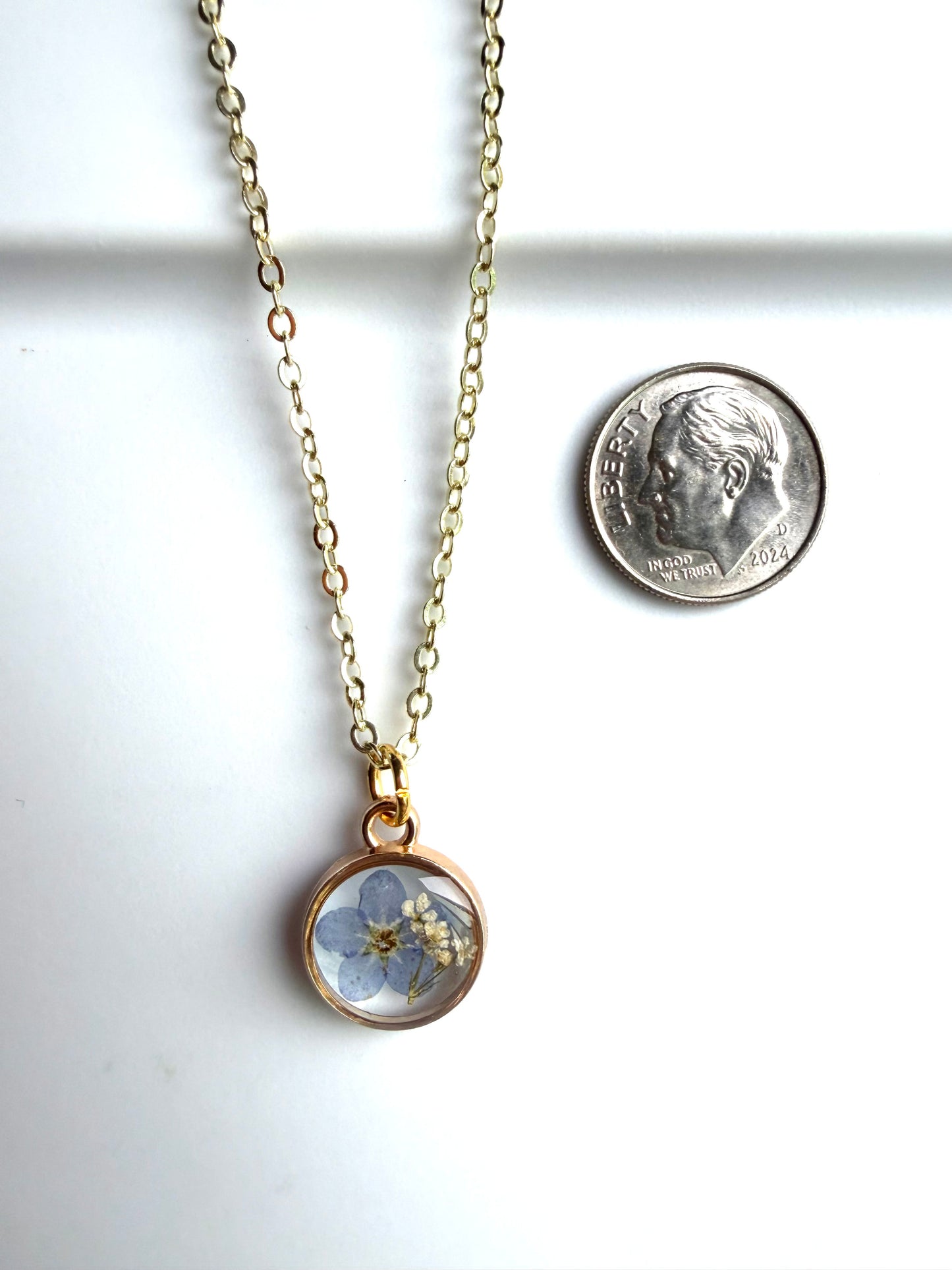 Single Forget-Me-Not with Pieces of Queen Annes Lace