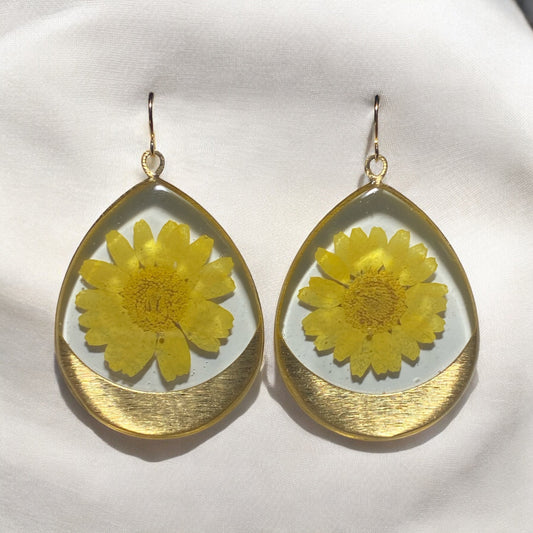 Yellow Daisies