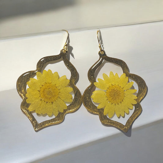 Yellow Daisies