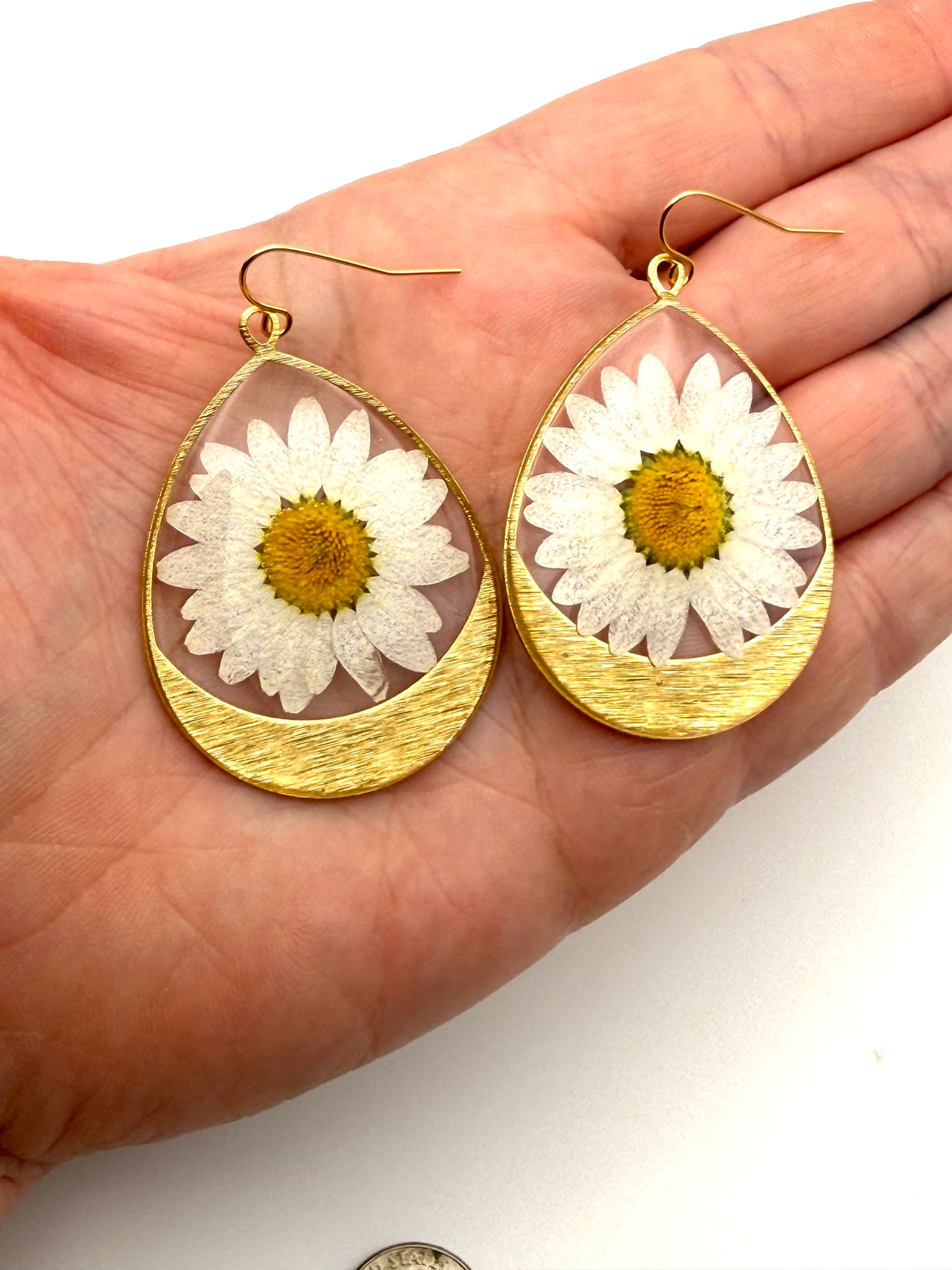 Daisies