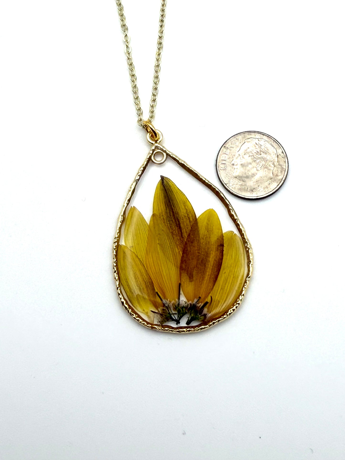 Sunflower Petals with Wild Flower