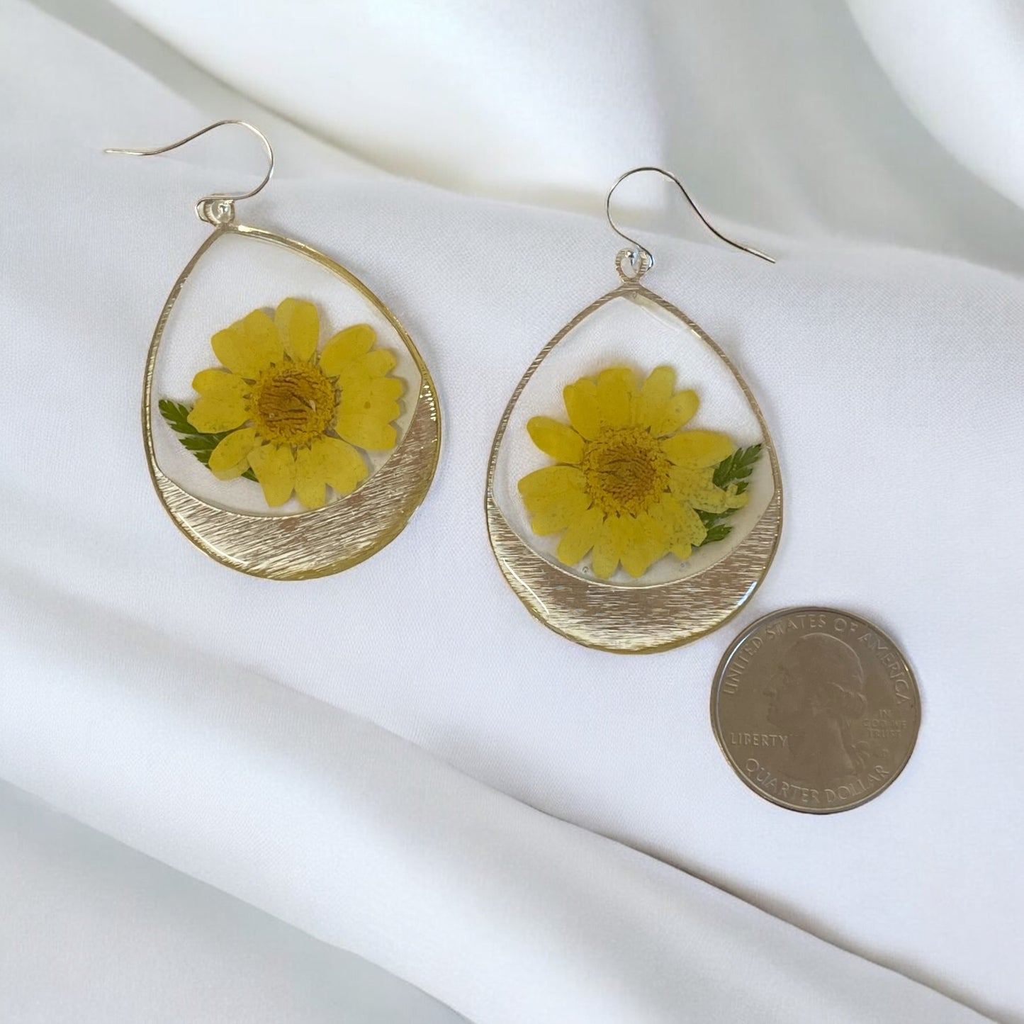 Daisies with dry pressed Fern