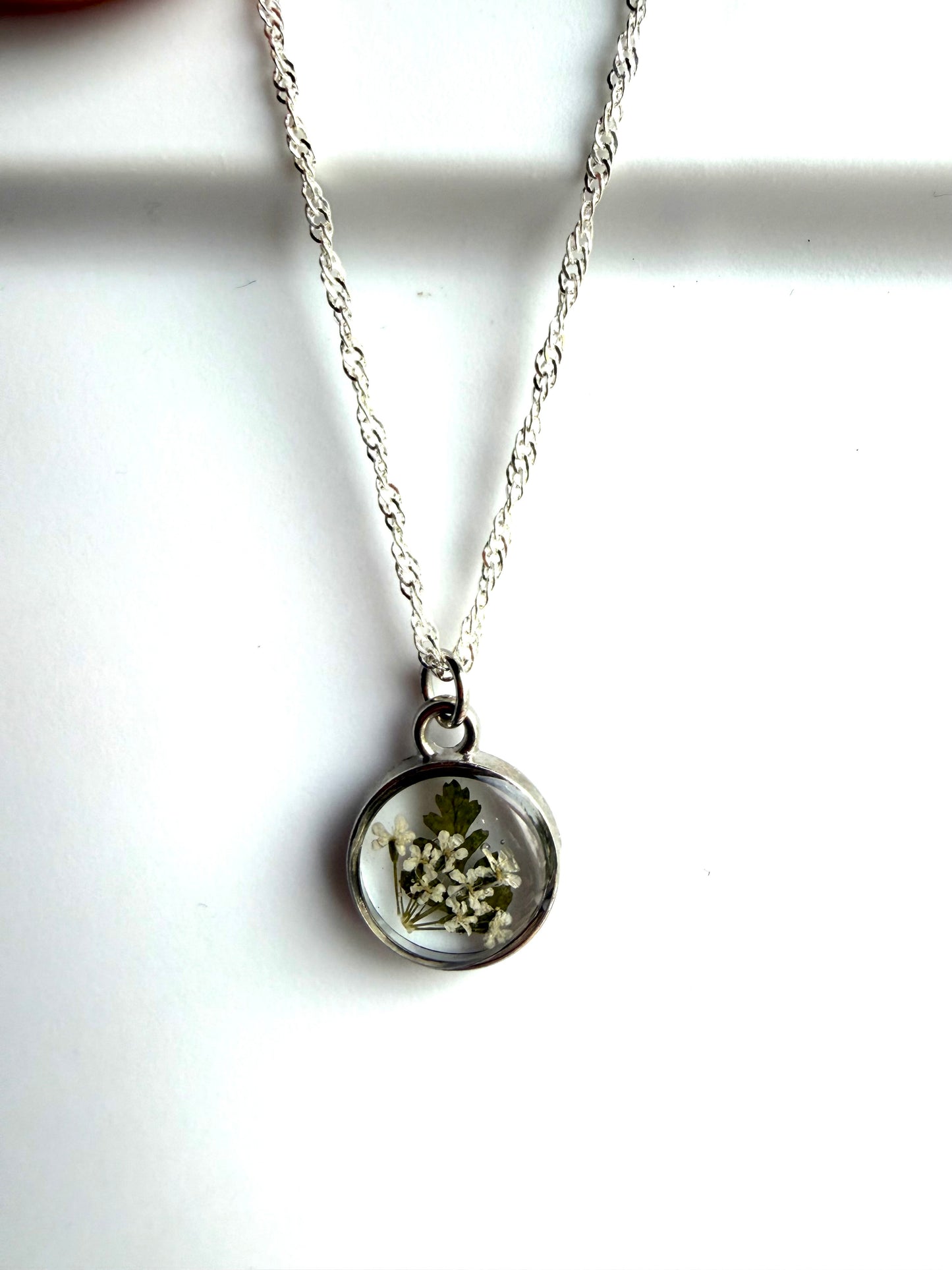 Dry Pressed Fern and Queen Anne’s Lace