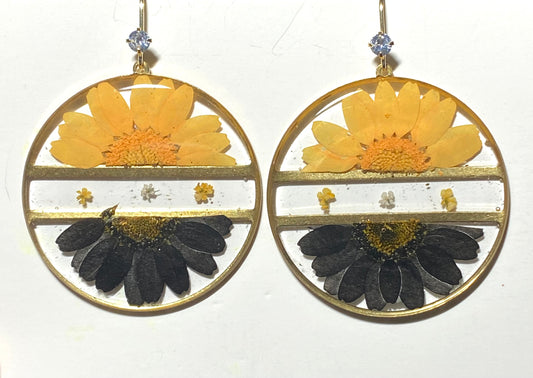 Split Black and Yellow Daisies with pieces of White and Orange Queen Anne’s Lace