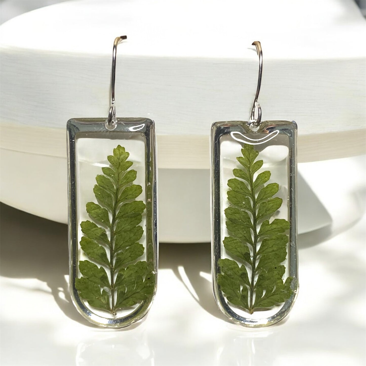 Dry Pressed Fern