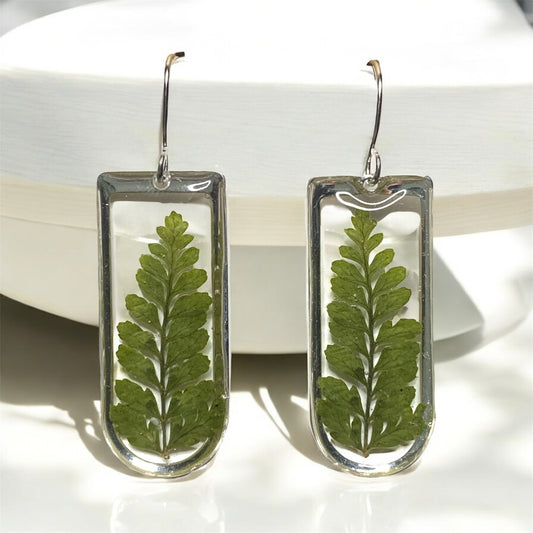 Dry Pressed Fern