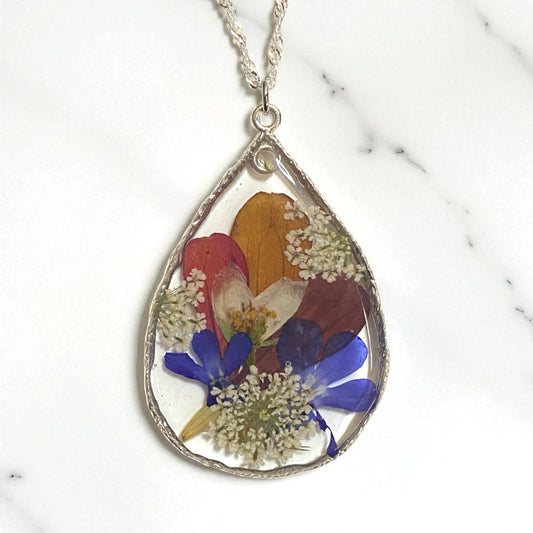 Flower Petals, Lobelia, and Queen Anne’s Lace