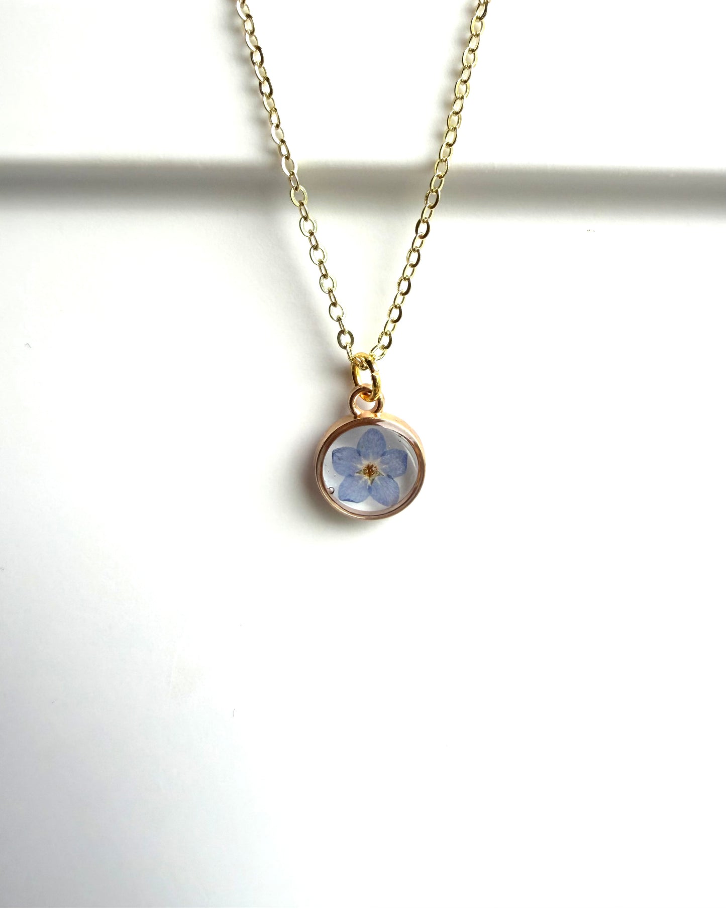 Single Forget-Me-Not